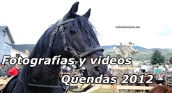 Quendas 2012